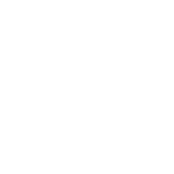 Due Diligence Due Diligence