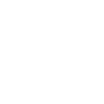 Profitable Growth Profitable Growth
