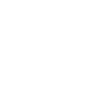 Project Management